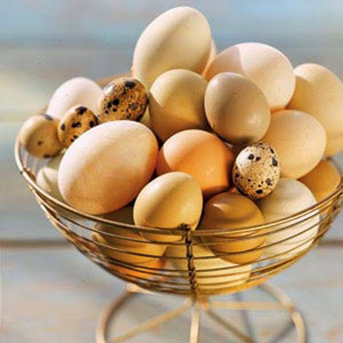 Cách bảo quản trứng gà, vịt để được lâu vài tháng không hỏng 1