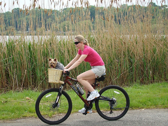 Đi xe đạp với chó của tôi có an toàn không?